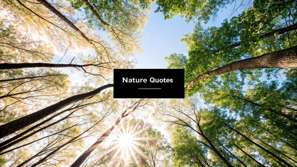 8 Unforgettable Nature Quotes for Instagram [2025 Guide]